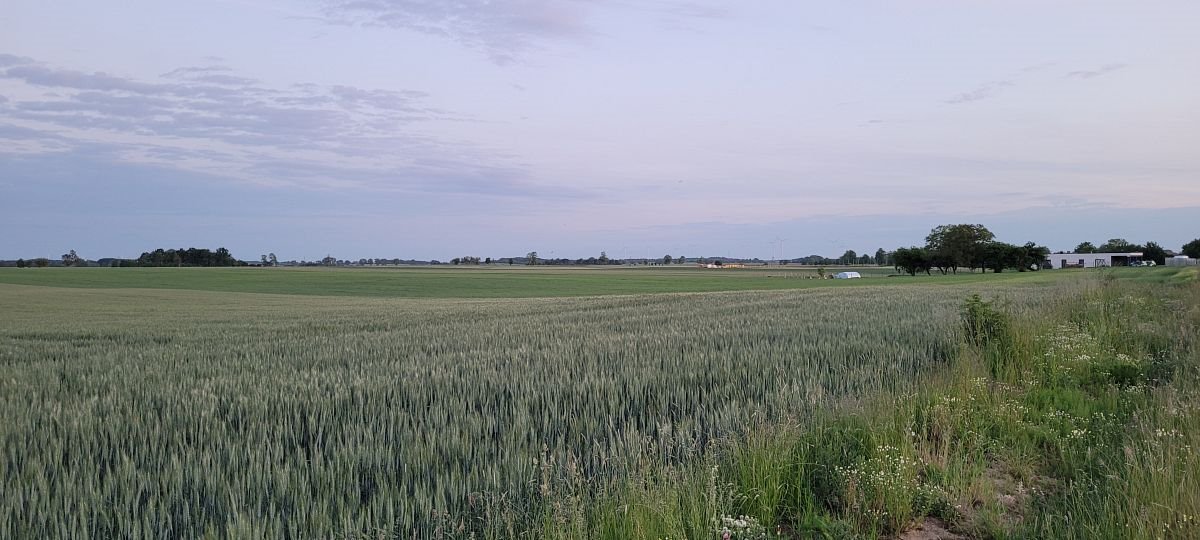 Działka 925 m² pod dom lub pensjonat w Śmiechowie - polecam! Śmiechów  925m2 Foto 1