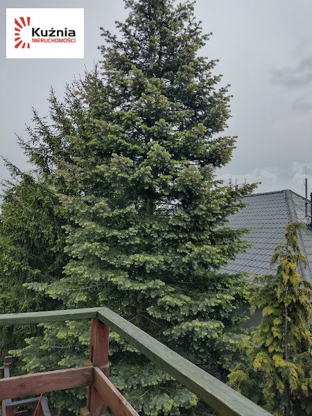 Dom na wynajem Warszawa, Wawer  120m2 Foto 1