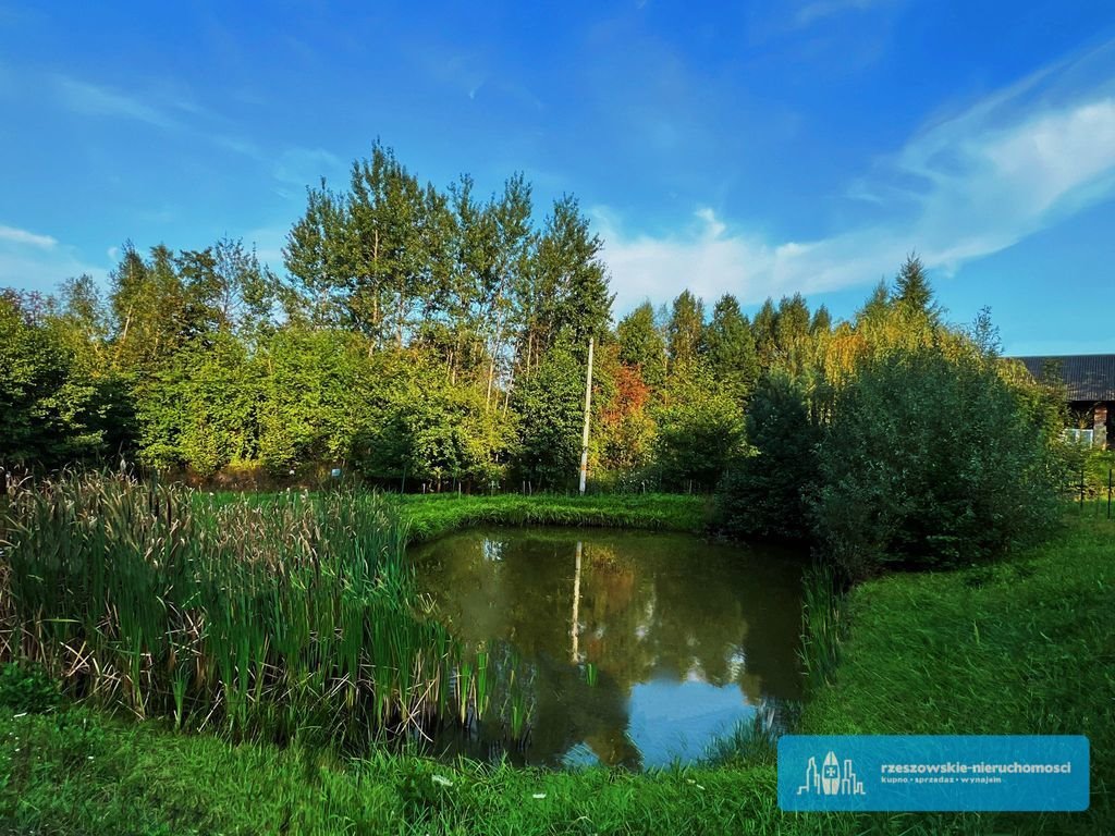 Działka rekreacyjna na sprzedaż Rzeszów, matysówka  7 300m2 Foto 4