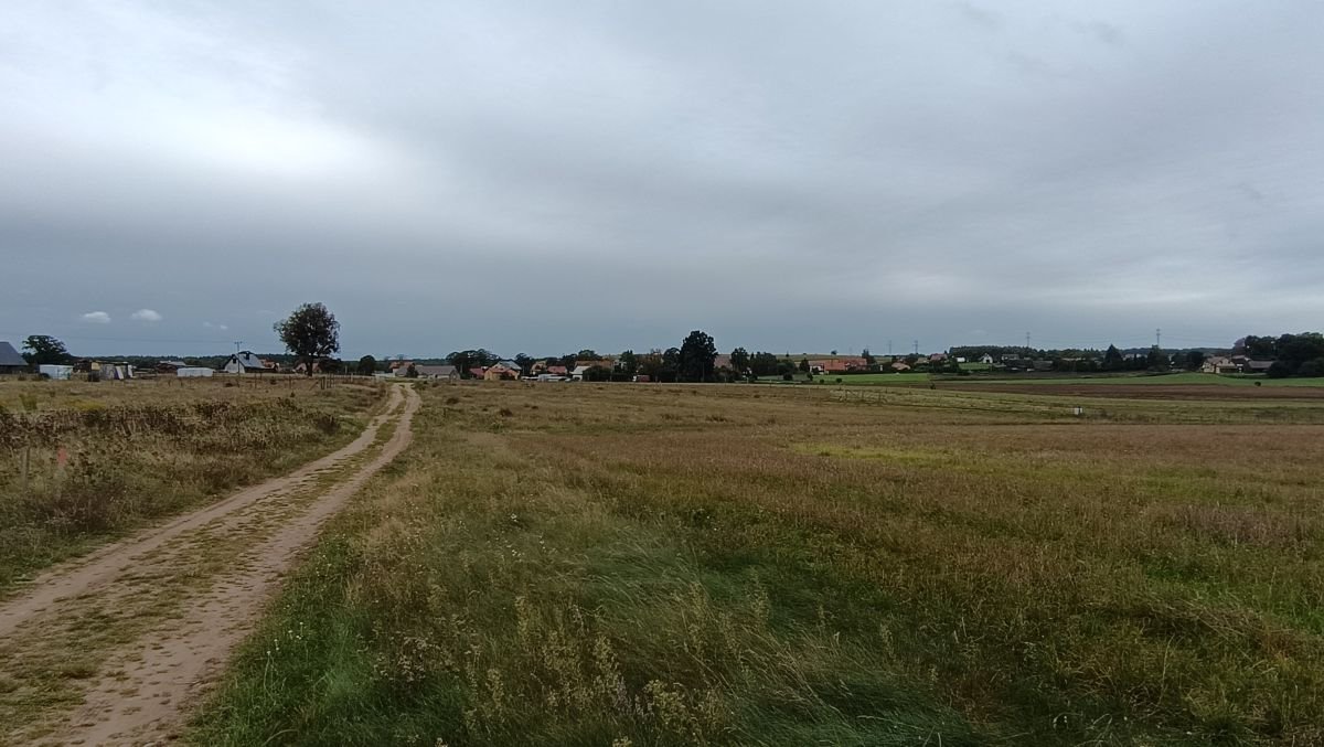 Działka rolna na sprzedaż Ełganowo, Teodora Wrzesińskiego  3 200m2 Foto 1