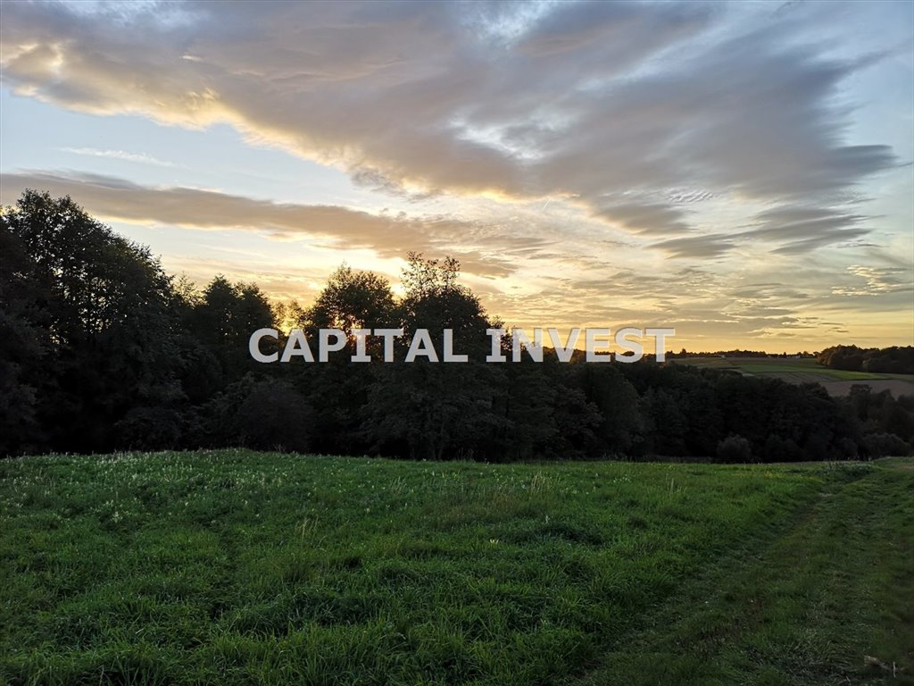 Działka budowlana na sprzedaż Andrychów  2 900m2 Foto 5