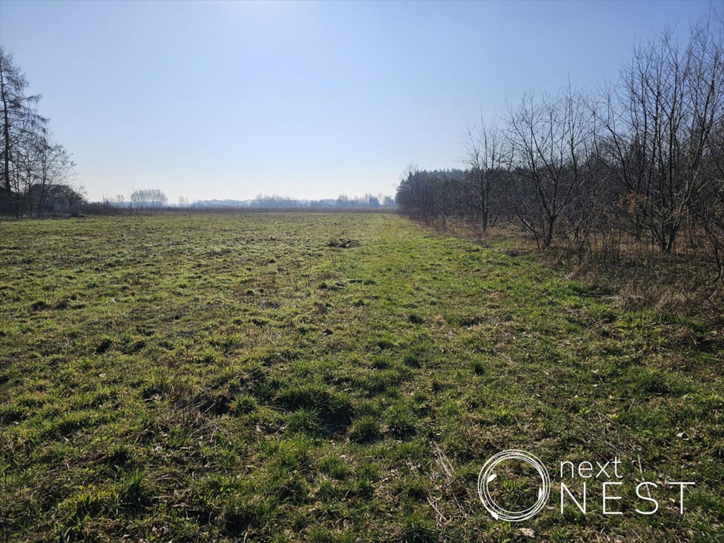 Działka budowlana na sprzedaż Krakowiany  33 300m2 Foto 8