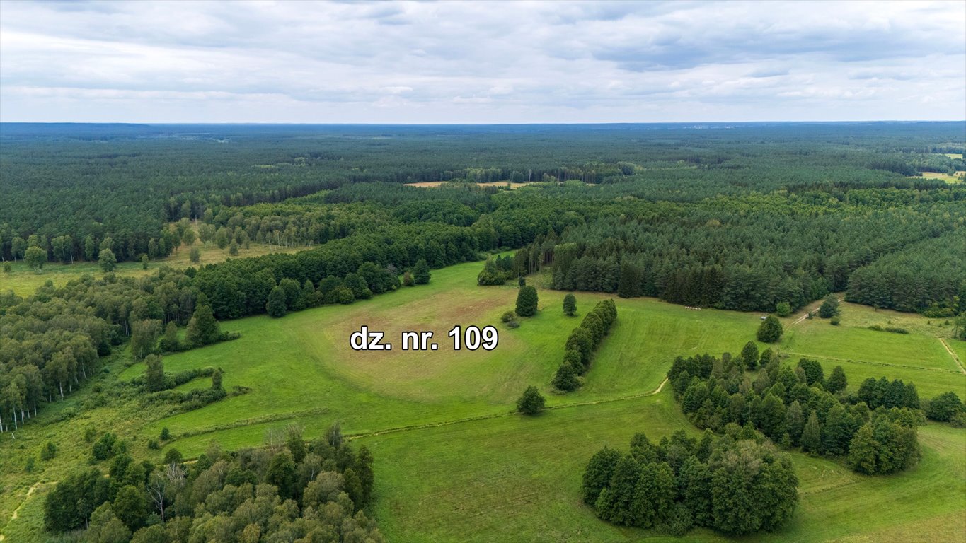 Działka rolna na sprzedaż Rekownica  120 300m2 Foto 6