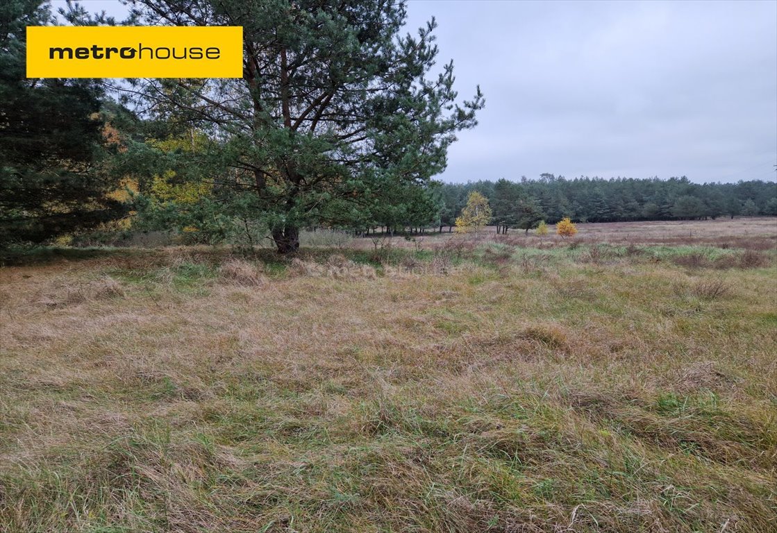 Działka siedliskowa na sprzedaż Zamek Bierzgłowski  6 168m2 Foto 1