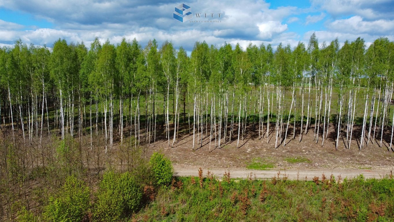 Działka budowlana na sprzedaż Barczewo  1 030m2 Foto 11