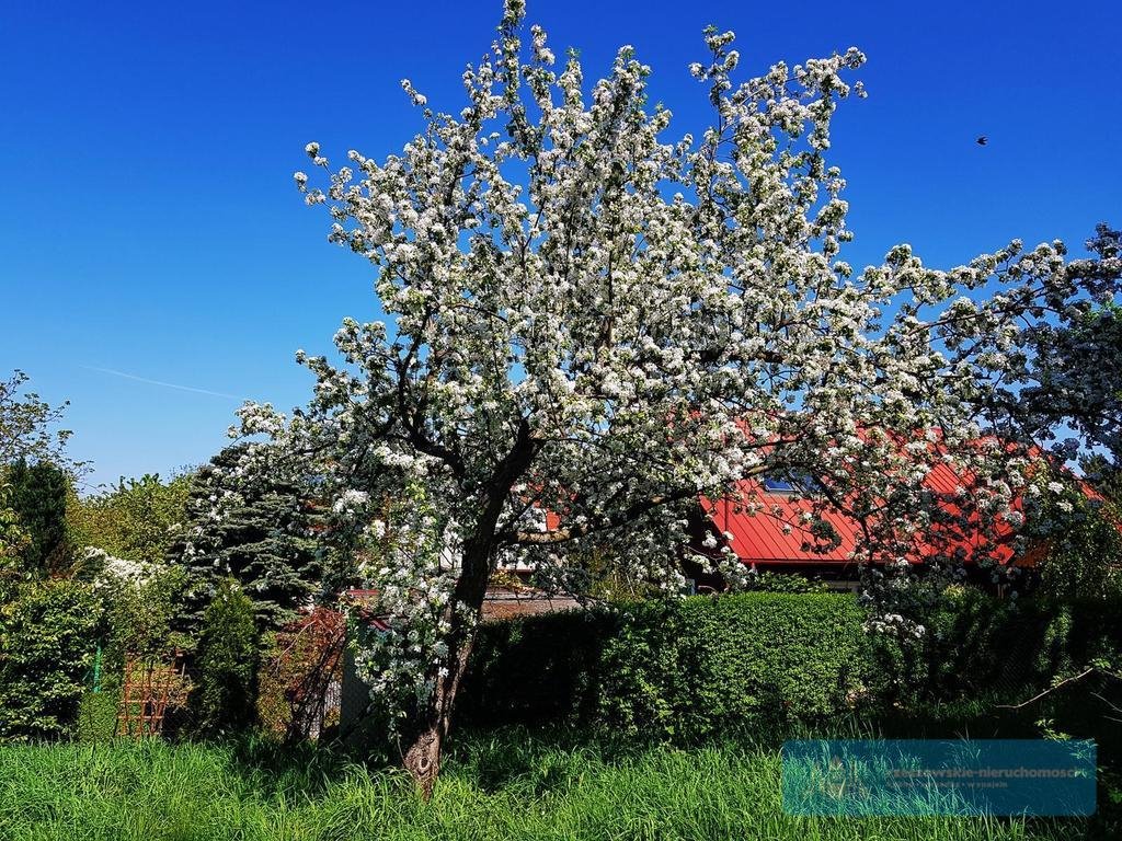 Działka budowlana na sprzedaż Łańcut  1 100m2 Foto 2