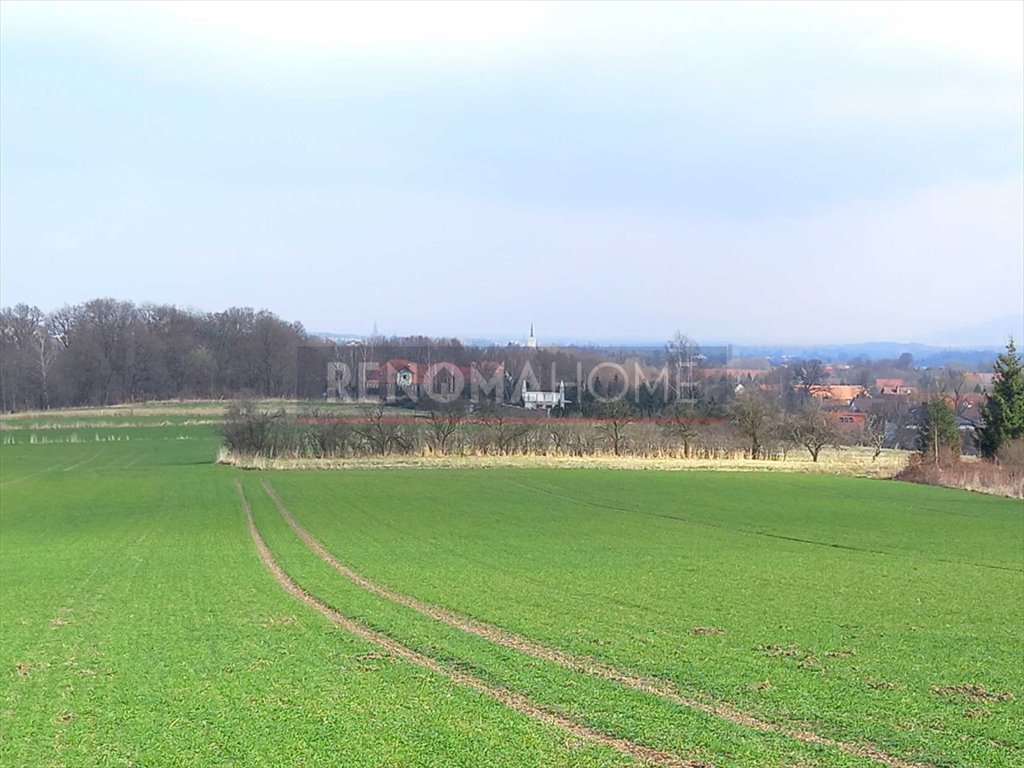 Działka budowlana na sprzedaż Witoszów Górny  1 518m2 Foto 1