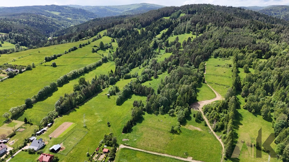 Działka rolna na sprzedaż Nowa Wieś  38 500m2 Foto 12