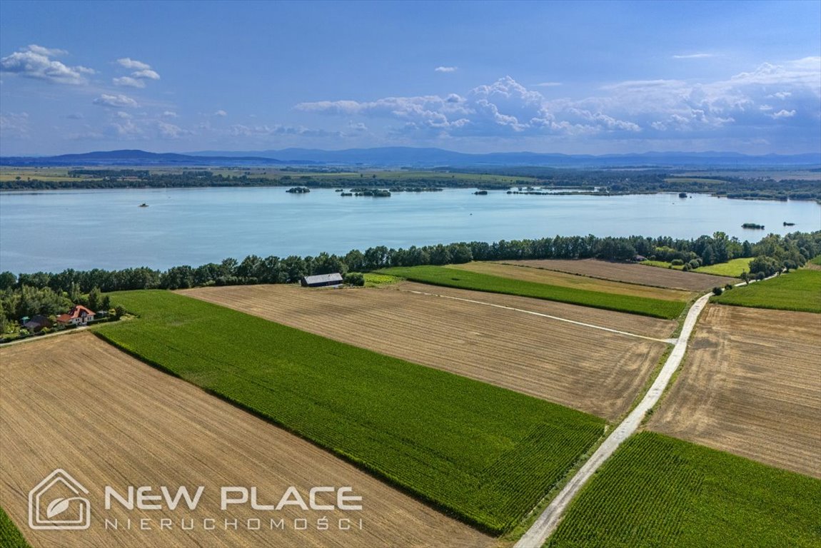 Działka przemysłowo-handlowa na sprzedaż Borzygniew  22 600m2 Foto 5