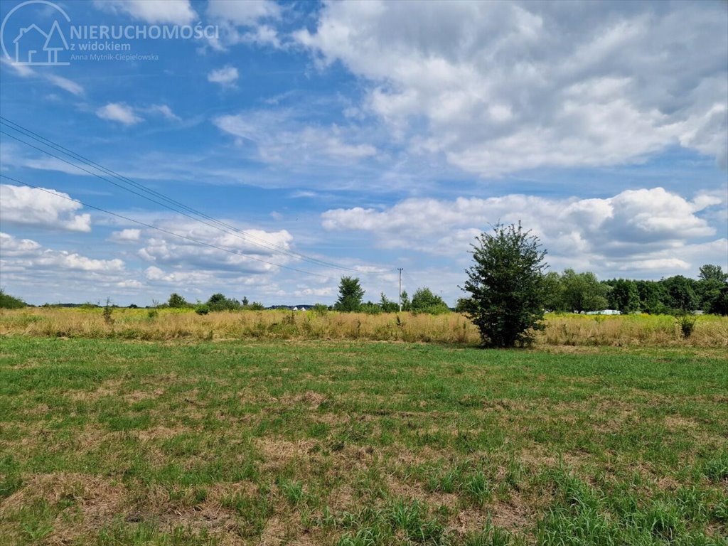 Działka budowlana na sprzedaż Krzeczów  1 100m2 Foto 6