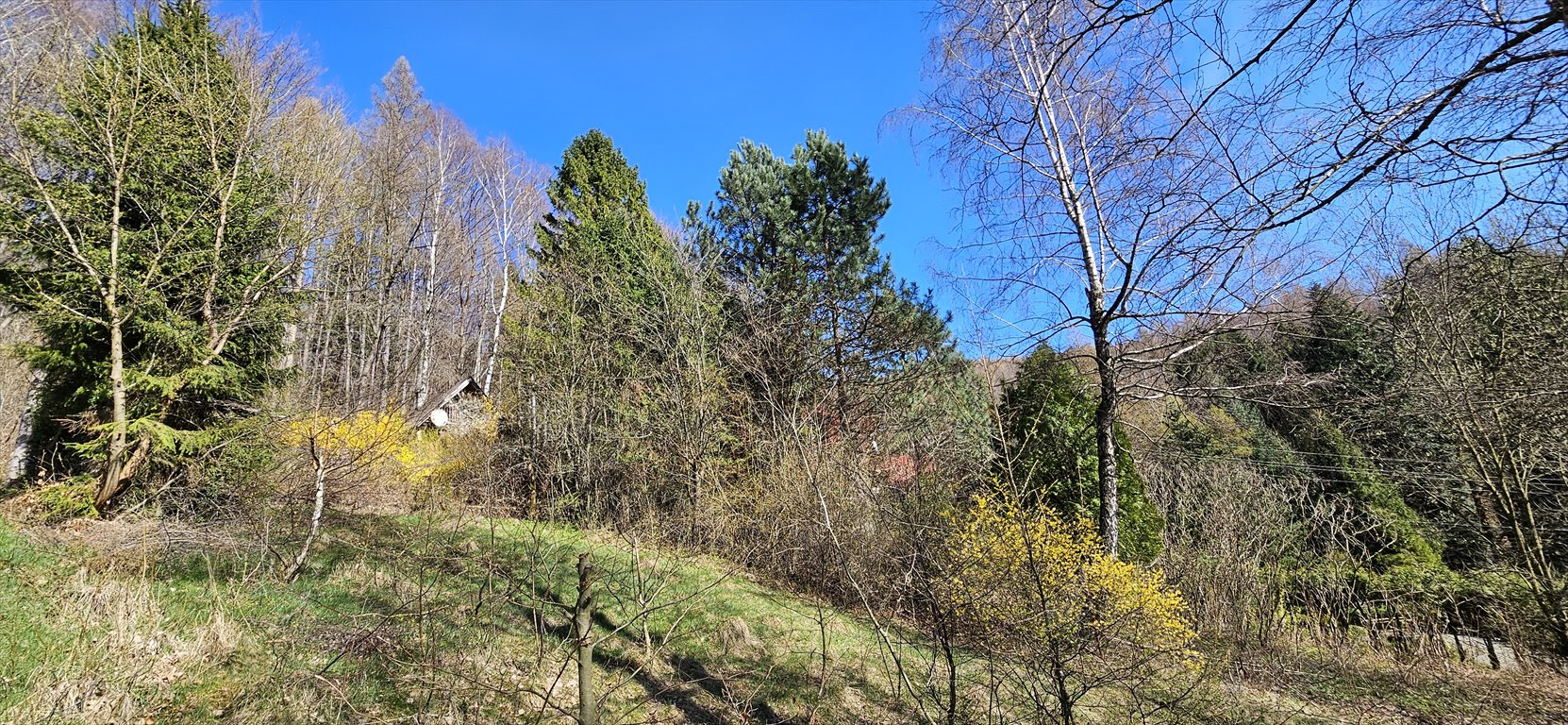 Sprzedam działkę 1408 m² w Targanicach z widokiem na góry Targanice, Os.Świerkowe  1 408m2 Foto 1