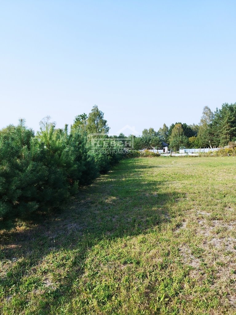 Działka budowlana na sprzedaż Terenia  1 500m2 Foto 5