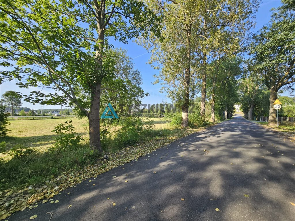 Działka budowlana na sprzedaż Dąbie  16 000m2 Foto 2