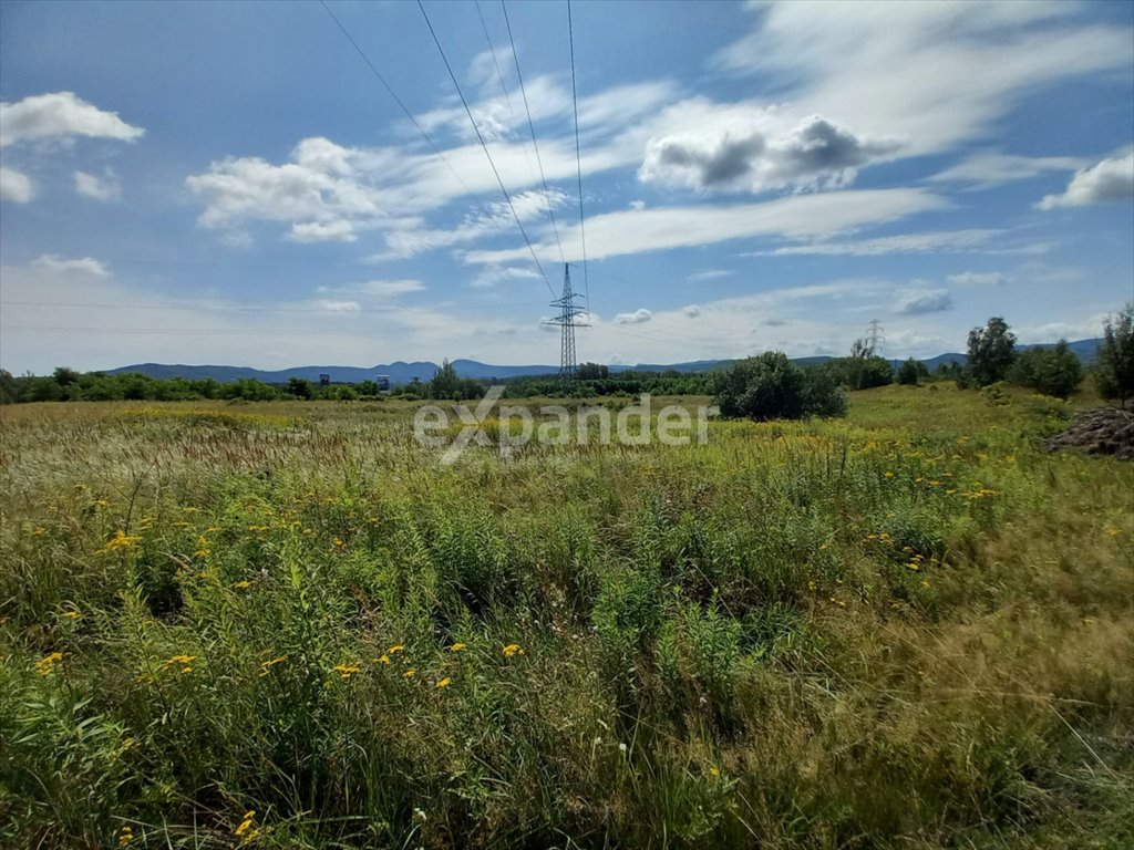 Działka budowlana na sprzedaż Wałbrzych, Biały Kamień, Piotra Wysockiego  140 309m2 Foto 7