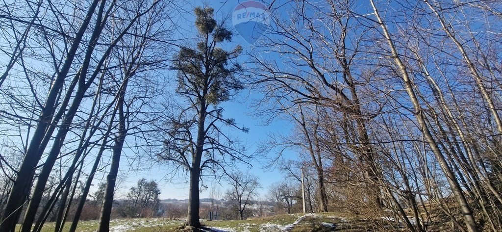 Działka inwestycyjna na sprzedaż Jasienica  20 427m2 Foto 11
