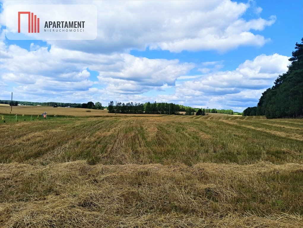 Działka budowlana na sprzedaż Miedzno  3 000m2 Foto 2