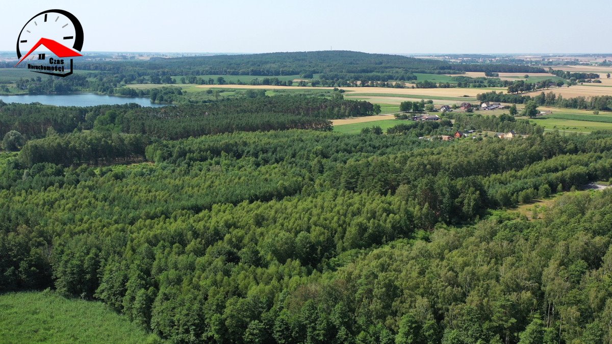 Działka budowlana na sprzedaż Smerzyn  1 012m2 Foto 5