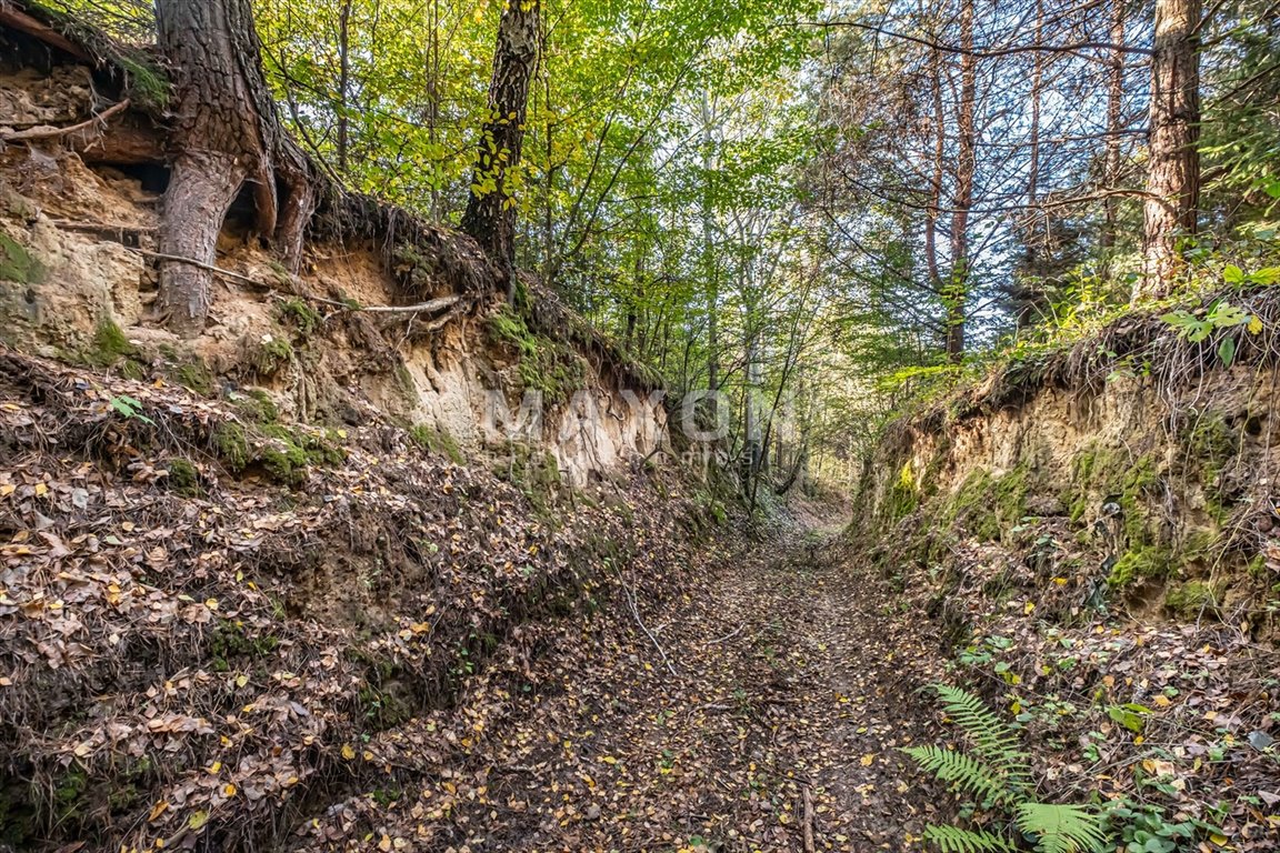 Dom na sprzedaż Rogów  200m2 Foto 3