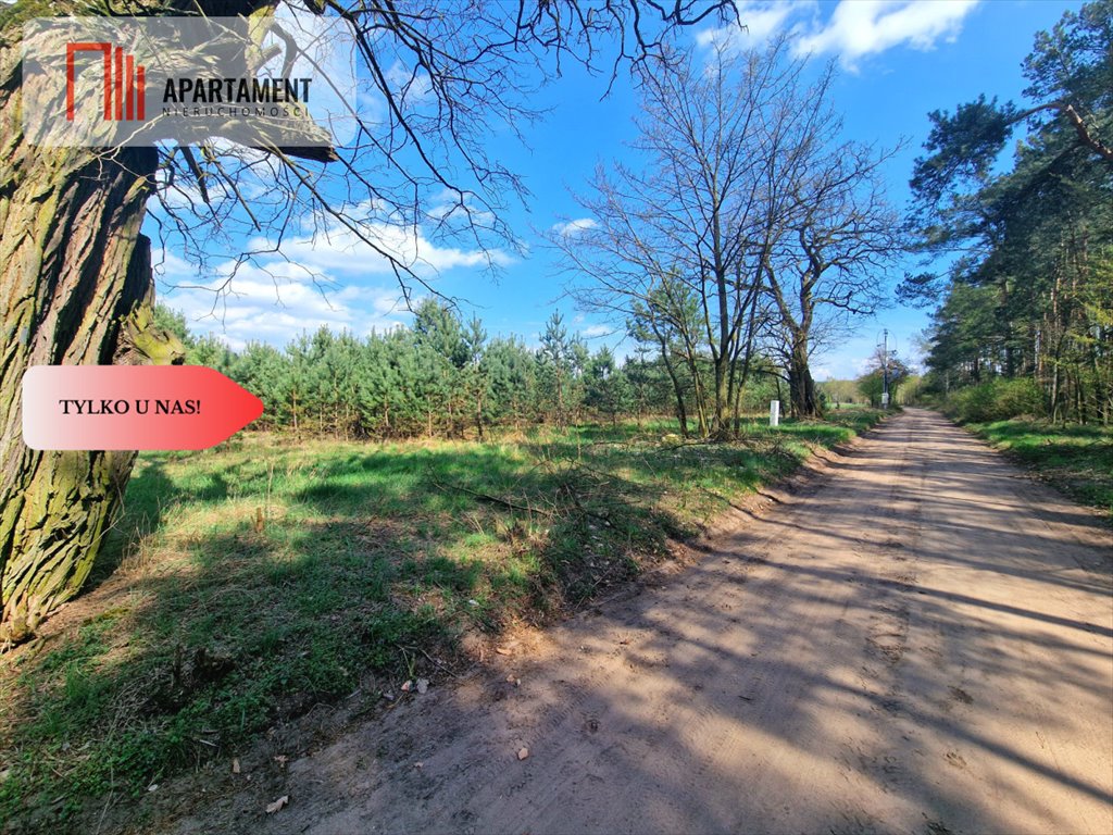 Na sprzedaż działka 1437 m² w Szkocji blisko lasu i rzeki Noteć Szkocja  1 437m2 Foto 1