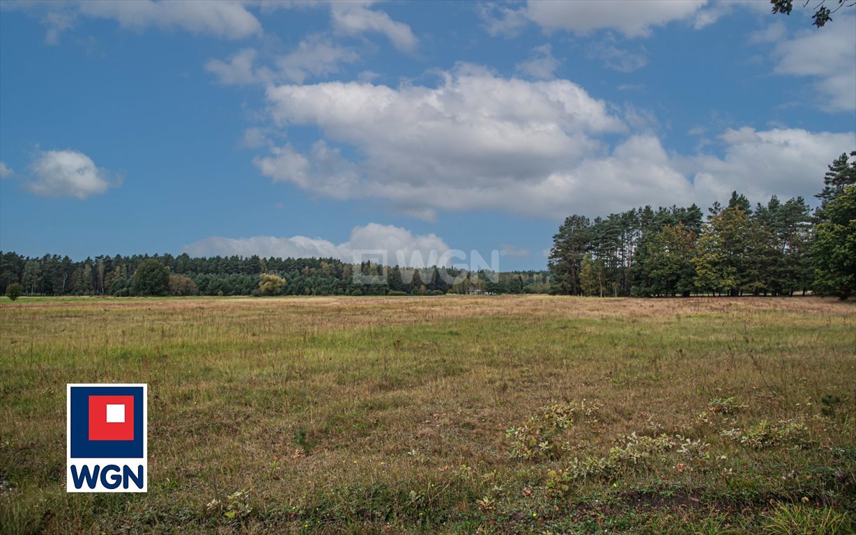 Działka rolna na sprzedaż Ołobok, centrum  91 500m2 Foto 10