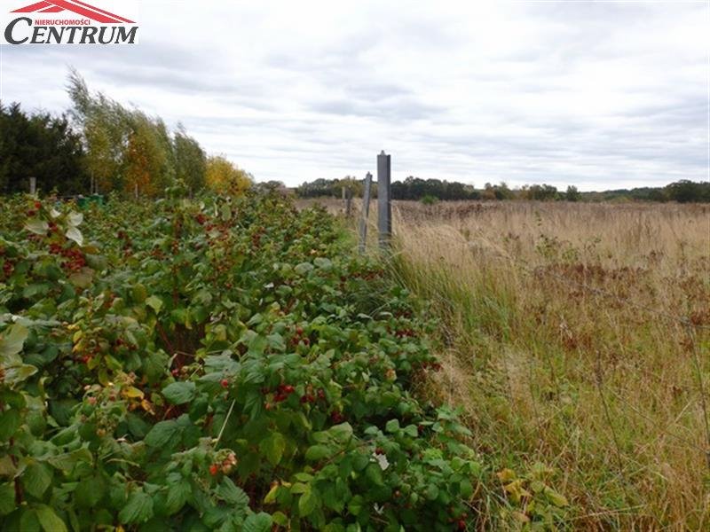 Działka budowlana na sprzedaż Białogard, Buczek Białogardzki  1 142m2 Foto 1