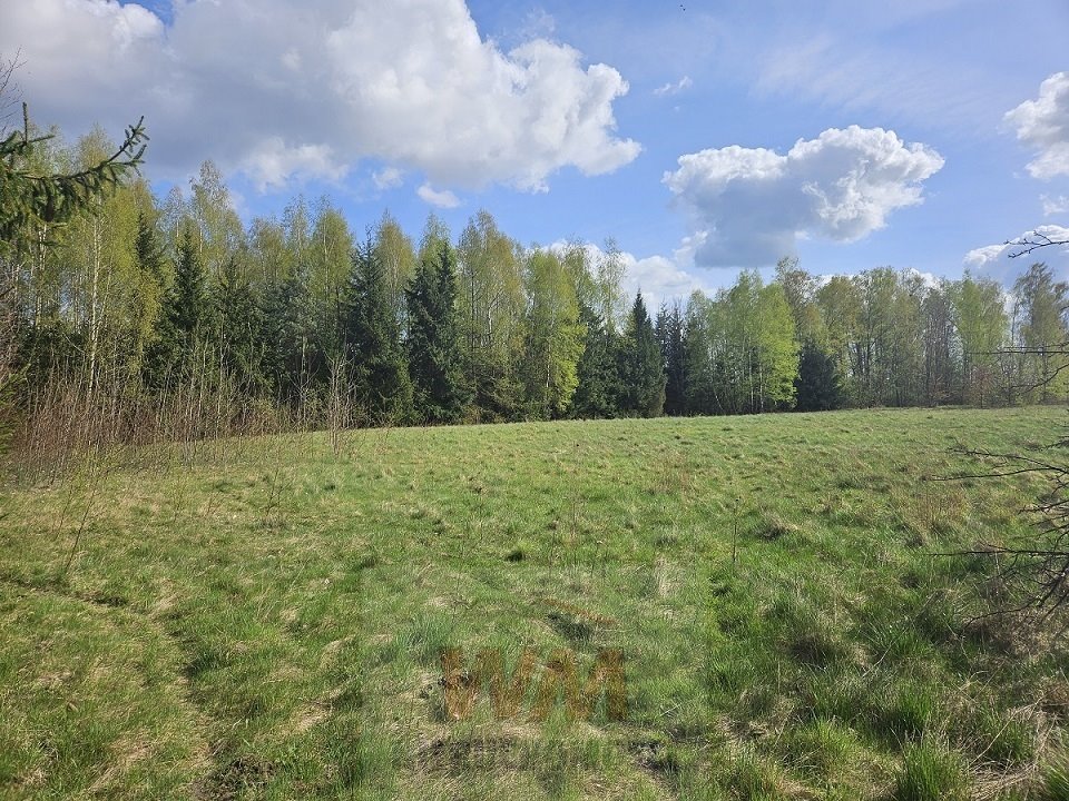 Działka budowlana na sprzedaż Pniewy  29 501m2 Foto 5