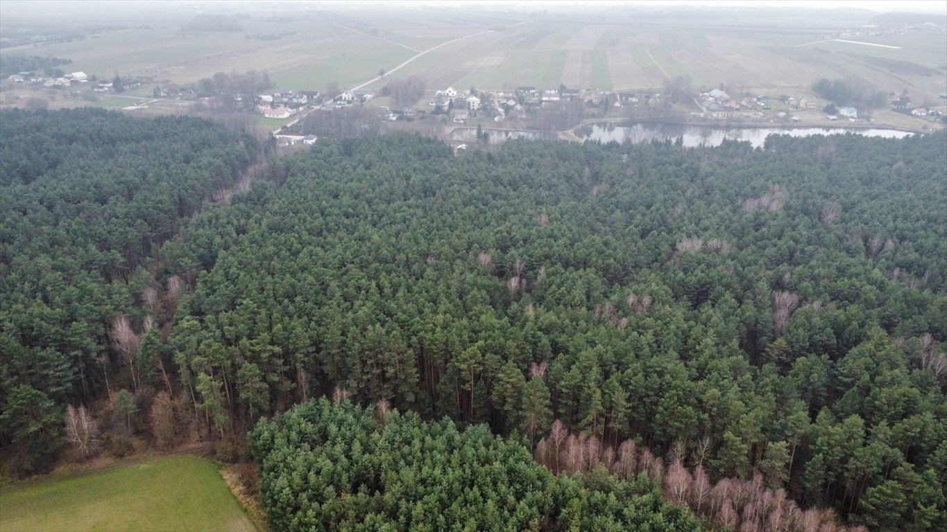 Działka leśna na sprzedaż Gorzakiew  27 000m2 Foto 10