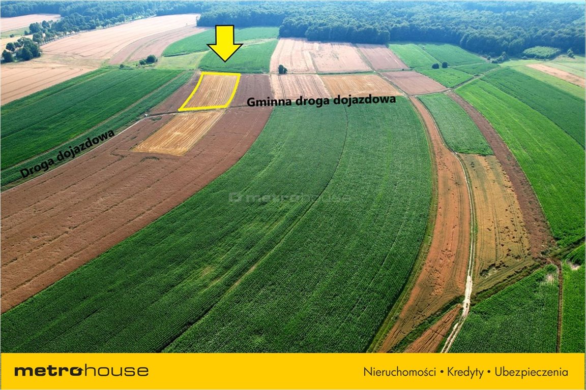 Działka rolna na sprzedaż Żernica, Pilchowice  7 760m2 Foto 2