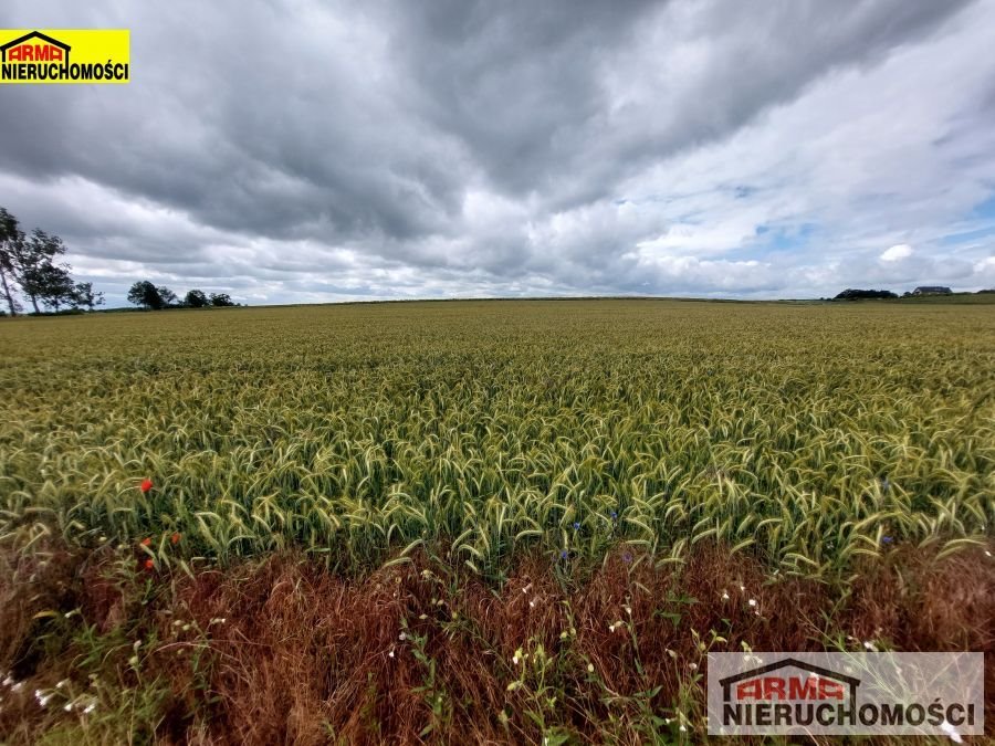 Działka inna na sprzedaż Bielkowo  32 900m2 Foto 5