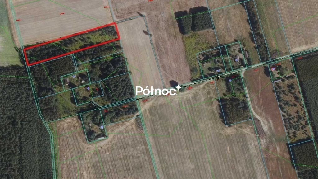 Działka rolna 7500 m² z lasem w Zielonej, Gródek Zielona  7 500m2 Foto 1