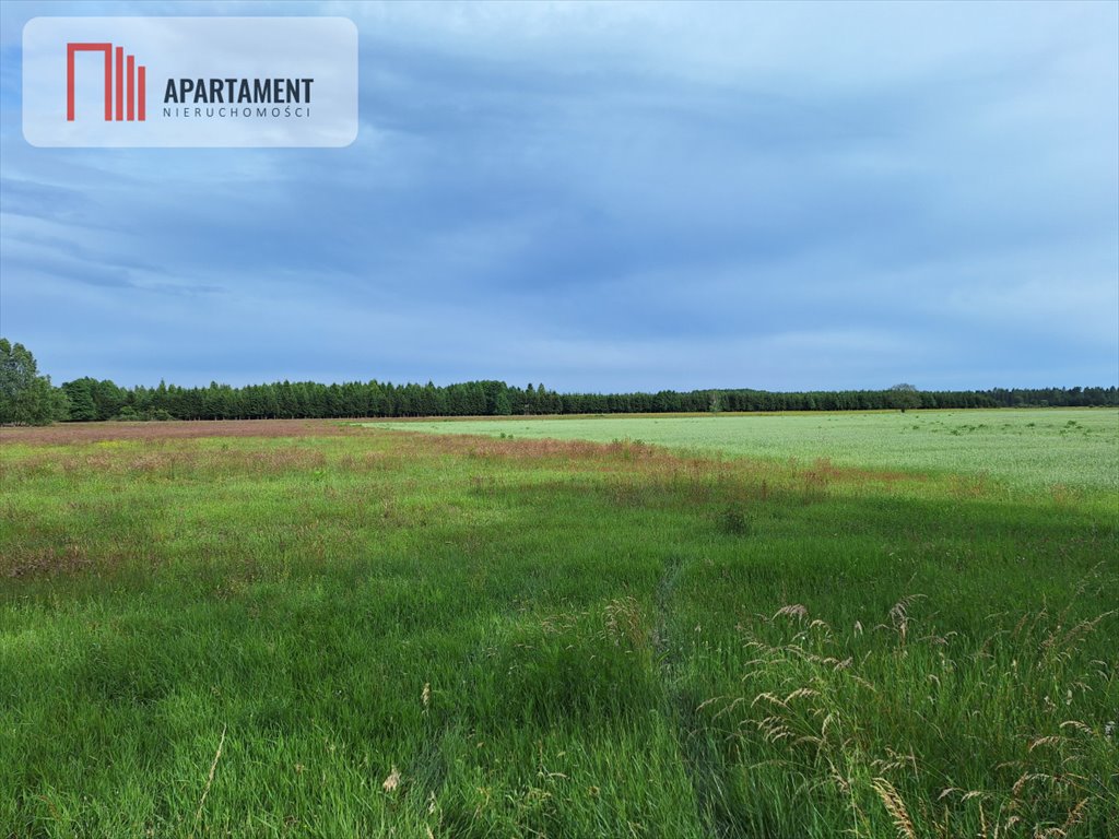 Działka inwestycyjna na sprzedaż Jastrowie  18 000m2 Foto 2