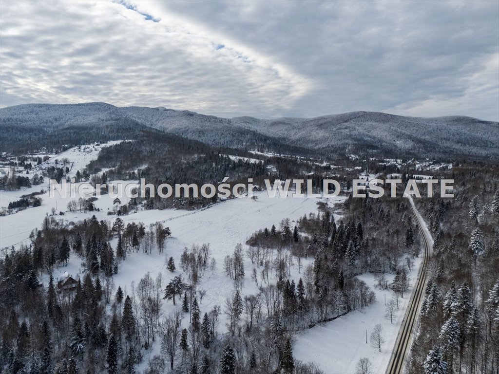 Działka inna na sprzedaż Cisna, Strzebowiska  68 700m2 Foto 5