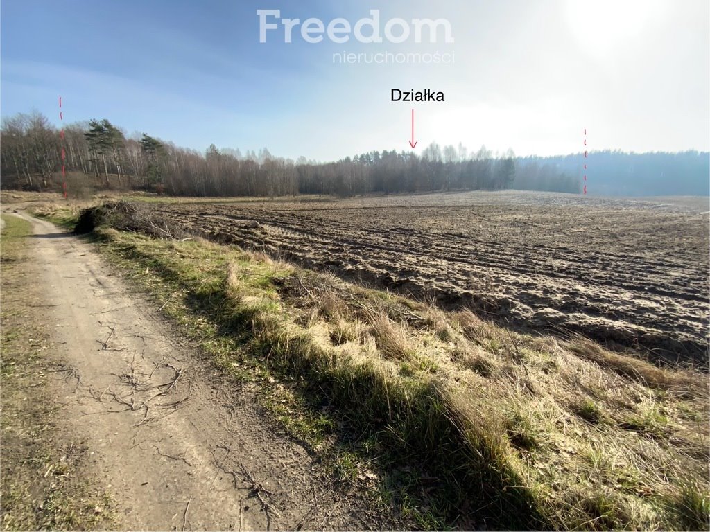 Działka siedliskowa na sprzedaż Szczodrowo  30 600m2 Foto 4