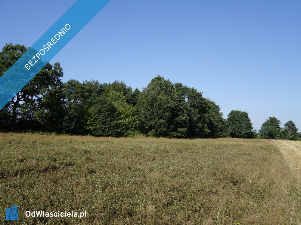 Działka rolna na sprzedaż Skoczów  5 700m2 Foto 10