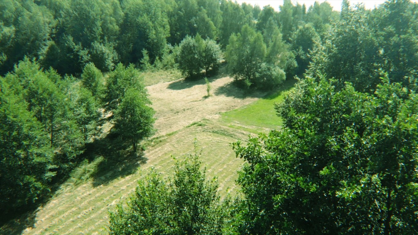 Zdjęcie 4
