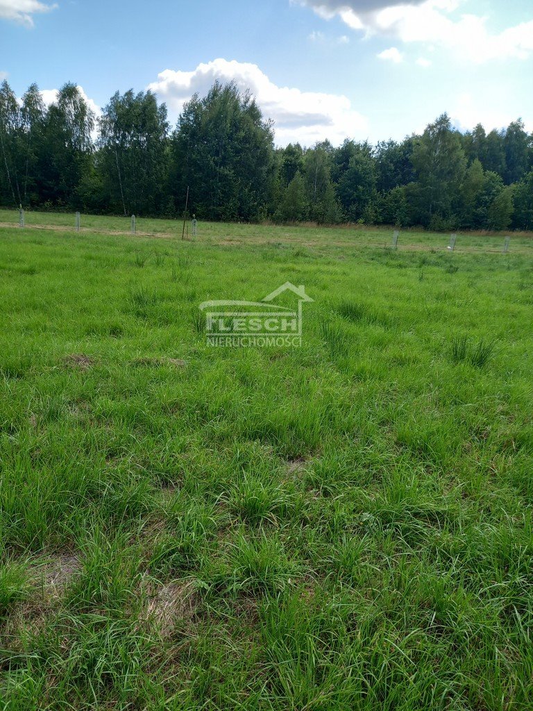 Działka budowlana na sprzedaż Oddział  5 000m2 Foto 6