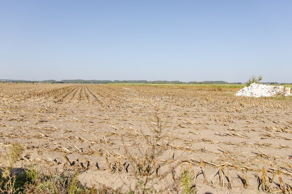 Działka budowlana na sprzedaż Jednaczewo, Łąkowa  1 426m2 Foto 4