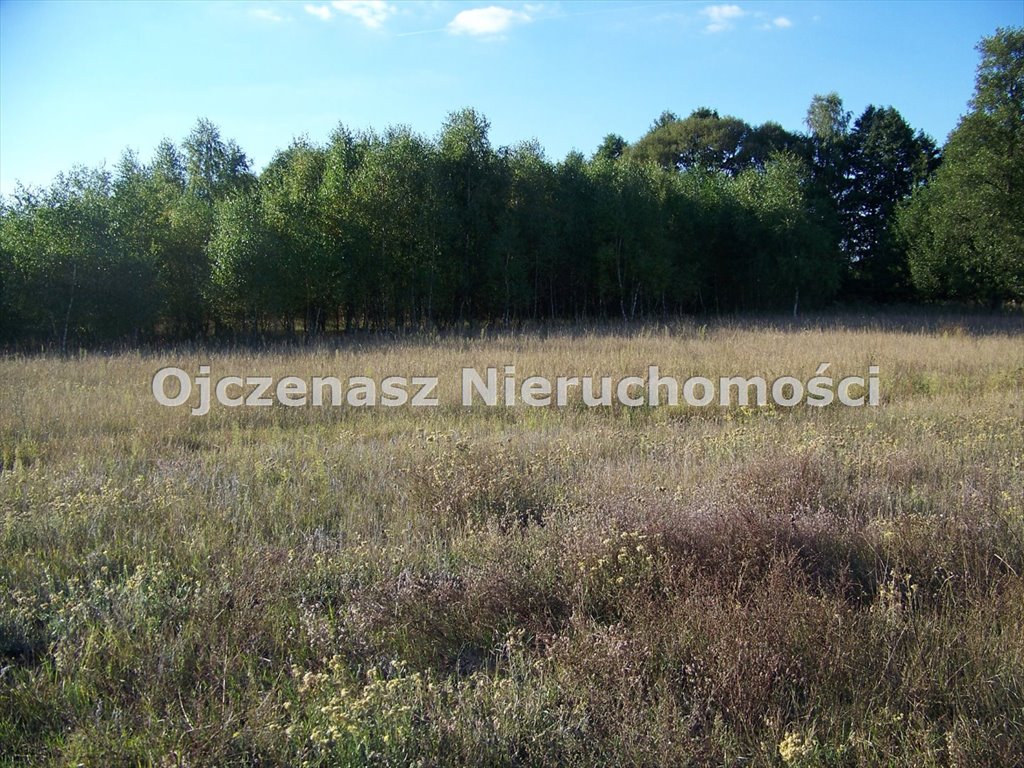 Działka budowlana na sprzedaż Murowaniec  1 431m2 Foto 1