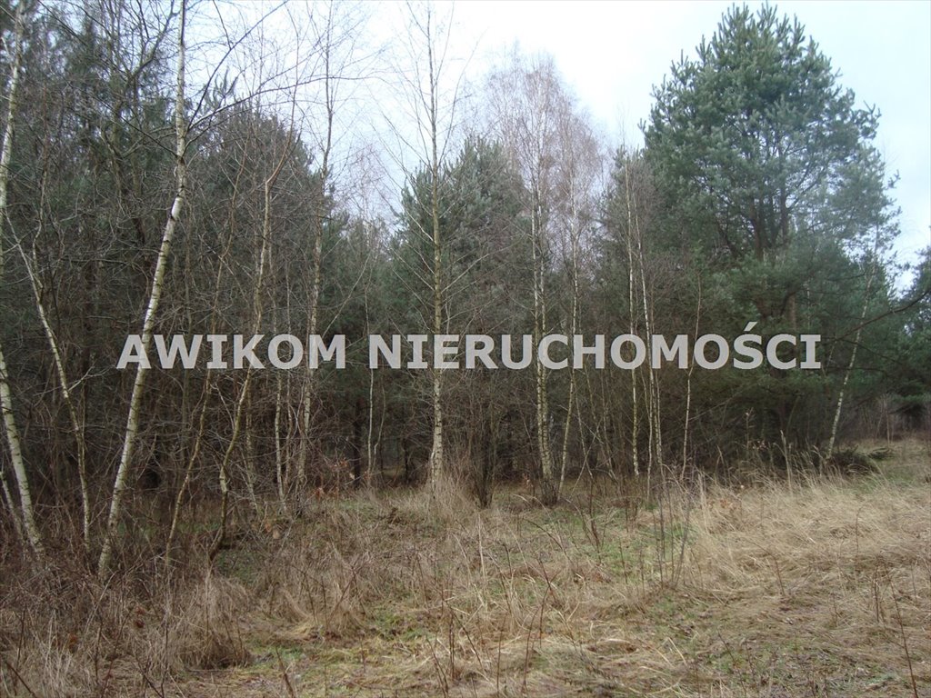 Działka budowlana 1097 m² w Osowcu, blisko lasu - polecam! Żabia Wola, Osowiec  1 097m2 Foto 1