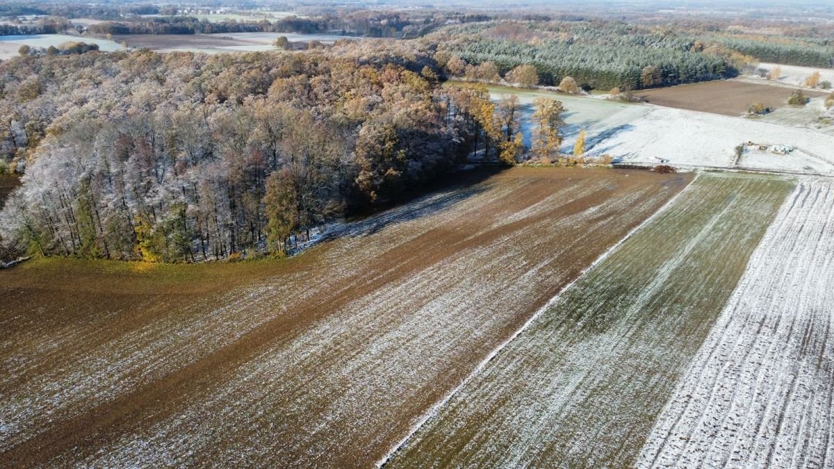 Działka budowlana na sprzedaż Prusice  36 600m2 Foto 1