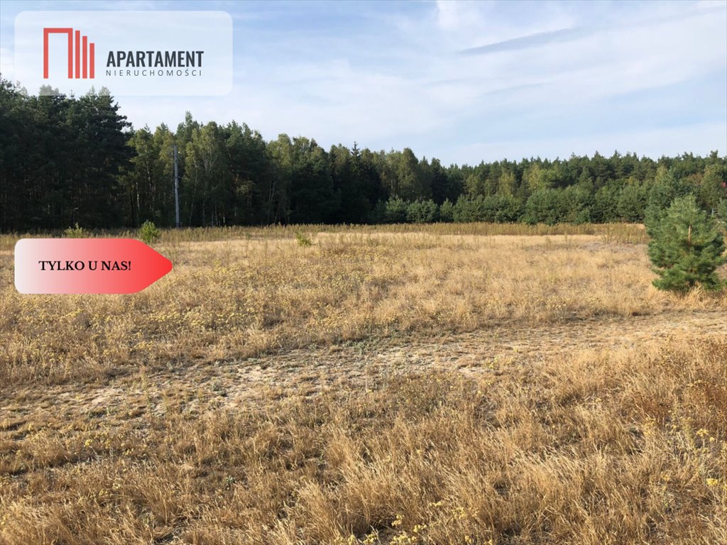 Działka budowlana na sprzedaż Nowa Wioska  6 250m2 Foto 1