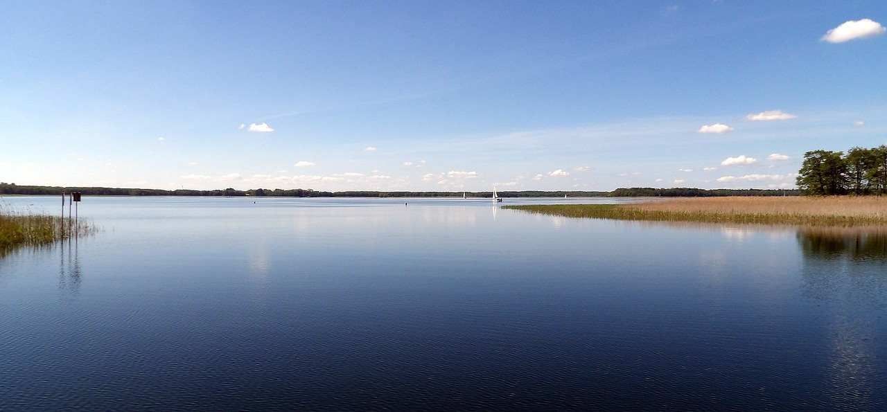 Działka budowlana na sprzedaż Nowe Rumunki, Nowe Rumunki 12  2 400m2 Foto 3