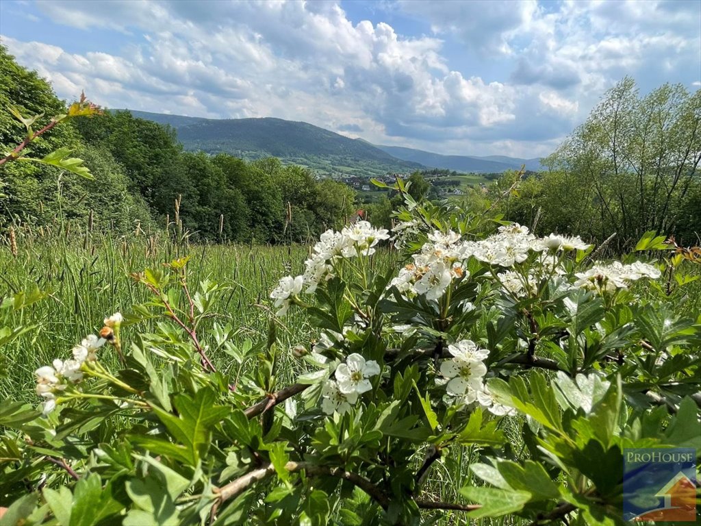 Działka 5900 m² z widokiem, media w zasięgu, pod zabudowę Dobra  5 900m2 Foto 1