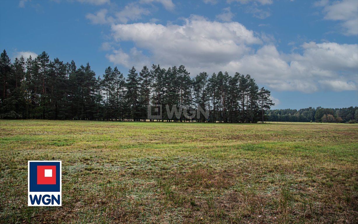 Działka rolna na sprzedaż Ołobok, centrum  91 500m2 Foto 7