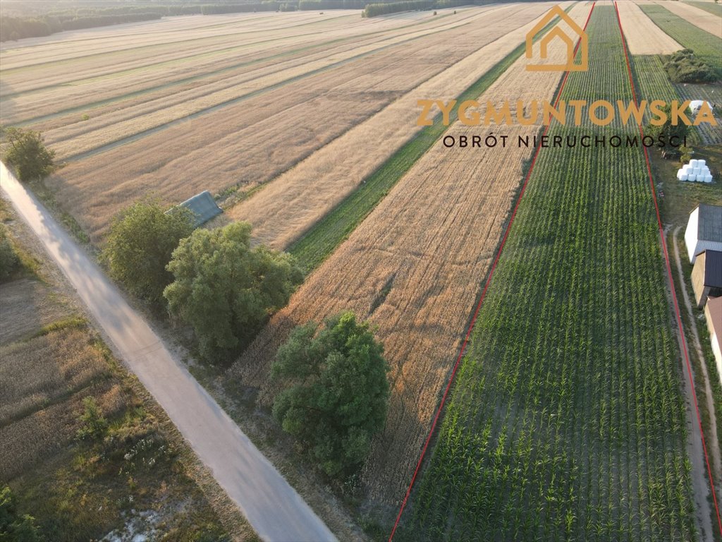 Działka 29 800 m² pod działalność rolniczą i zagrodową Rusinów, Wola Gałecka  29 800m2 Foto 1
