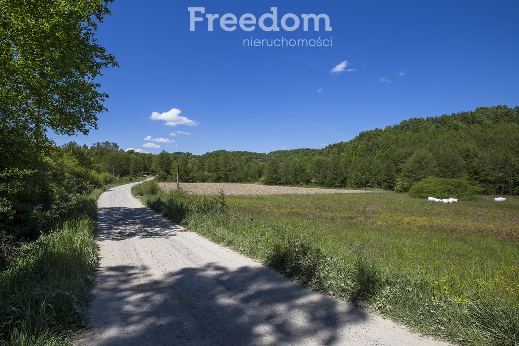 Działka inwestycyjna na sprzedaż Błażowa Górna  78 800m2 Foto 2