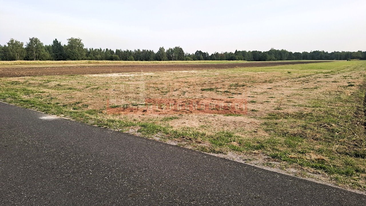 Działka 902 m² z warunkami zabudowy - Siołkowice Nowe Siołkowice Nowe  902m2 Foto 1