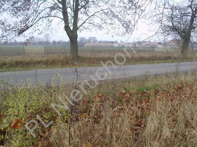 Działka budowlana na sprzedaż Józefatów 4 900m2 Foto 1 Działka budowlana na sprzedaż Józefatów 4 900m2 Foto 1