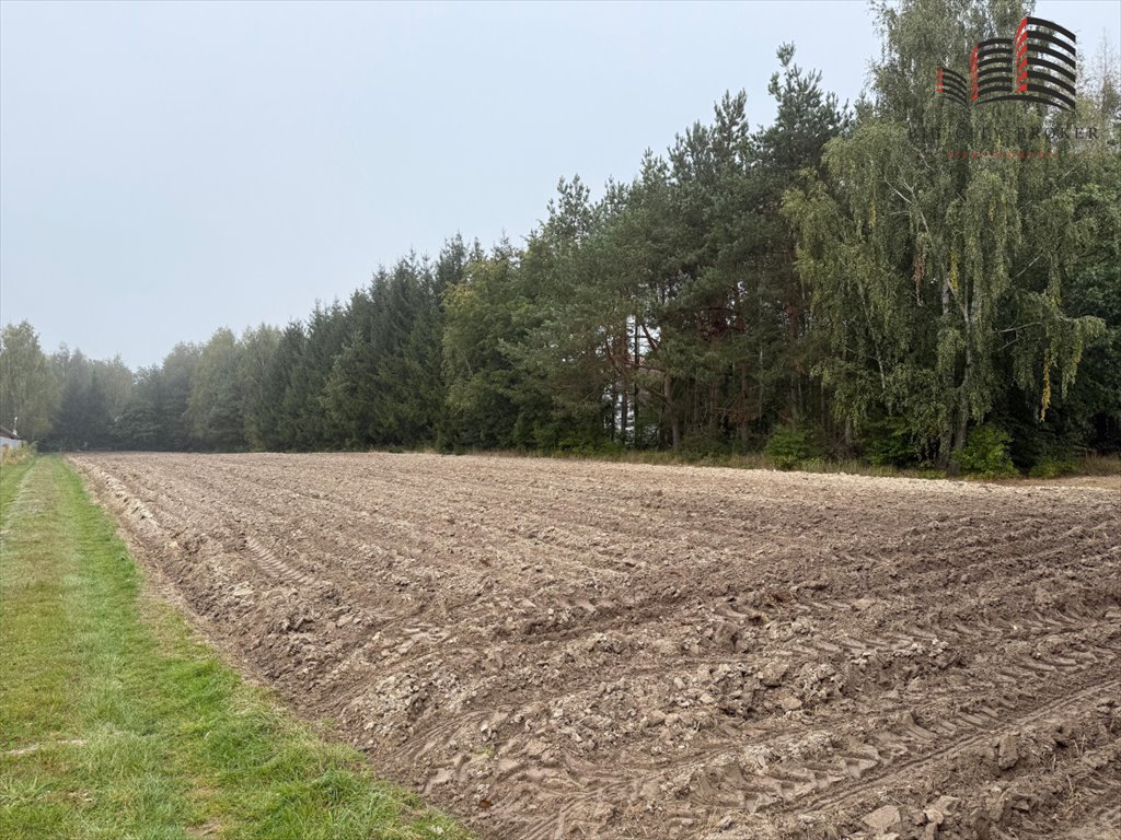 Działka 38 arów z mediami, las i jeziora - zapraszam Uciekajka  3 800m2 Foto 1