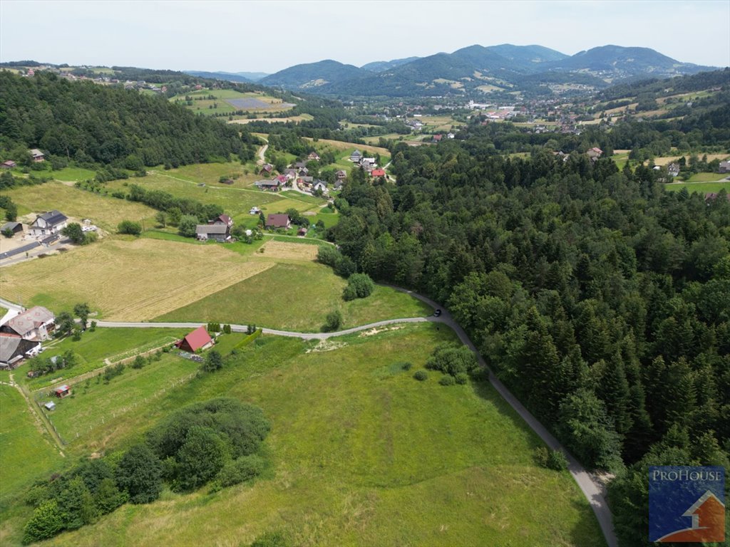 Działka budowlana na sprzedaż Piekiełko  5 617m2 Foto 5